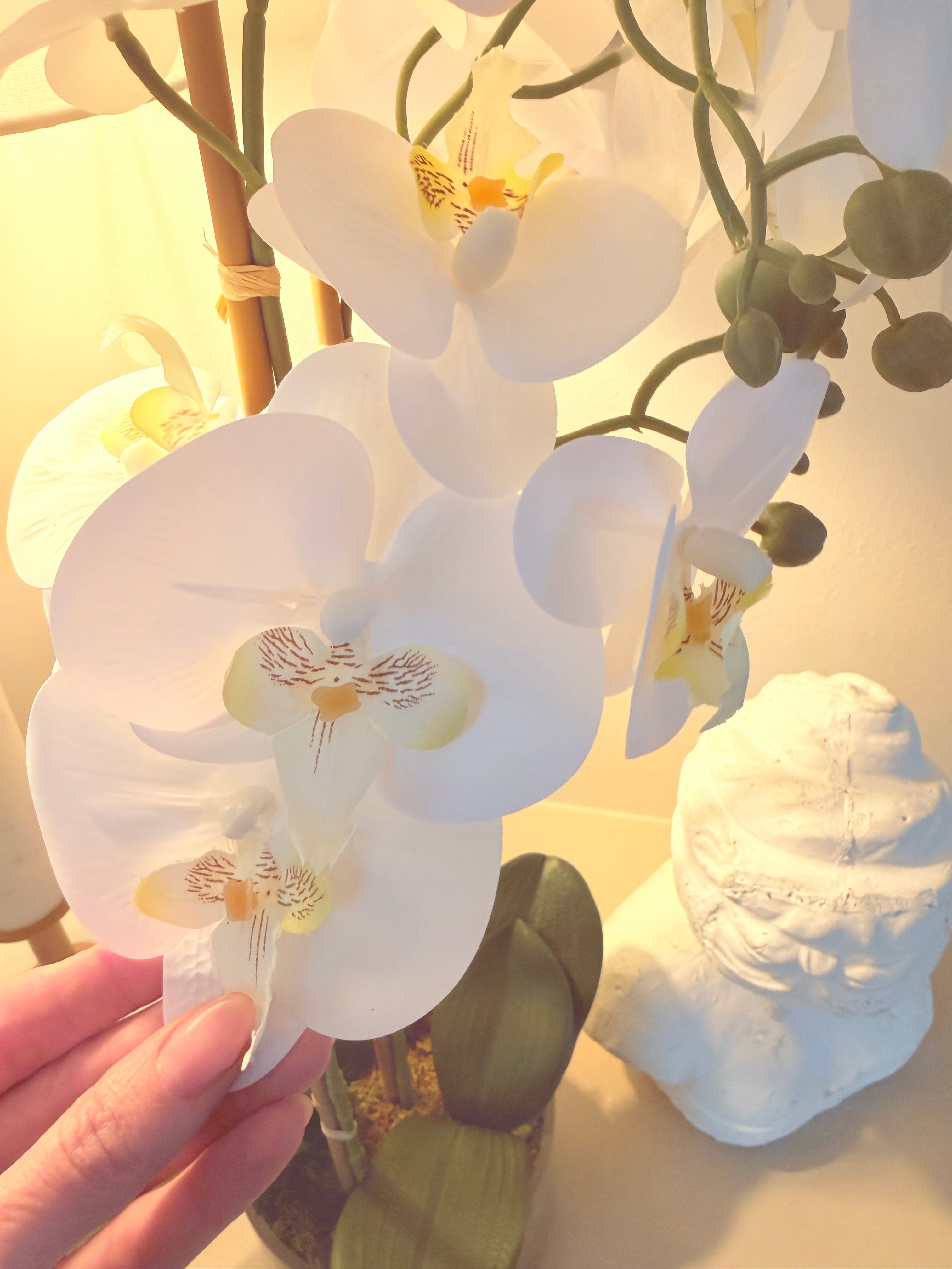 Faux Orchid 60cm In Glass Planter