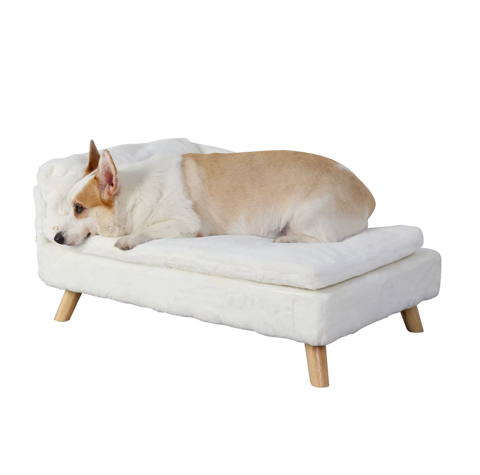 Luxury Elevated Pet Bed