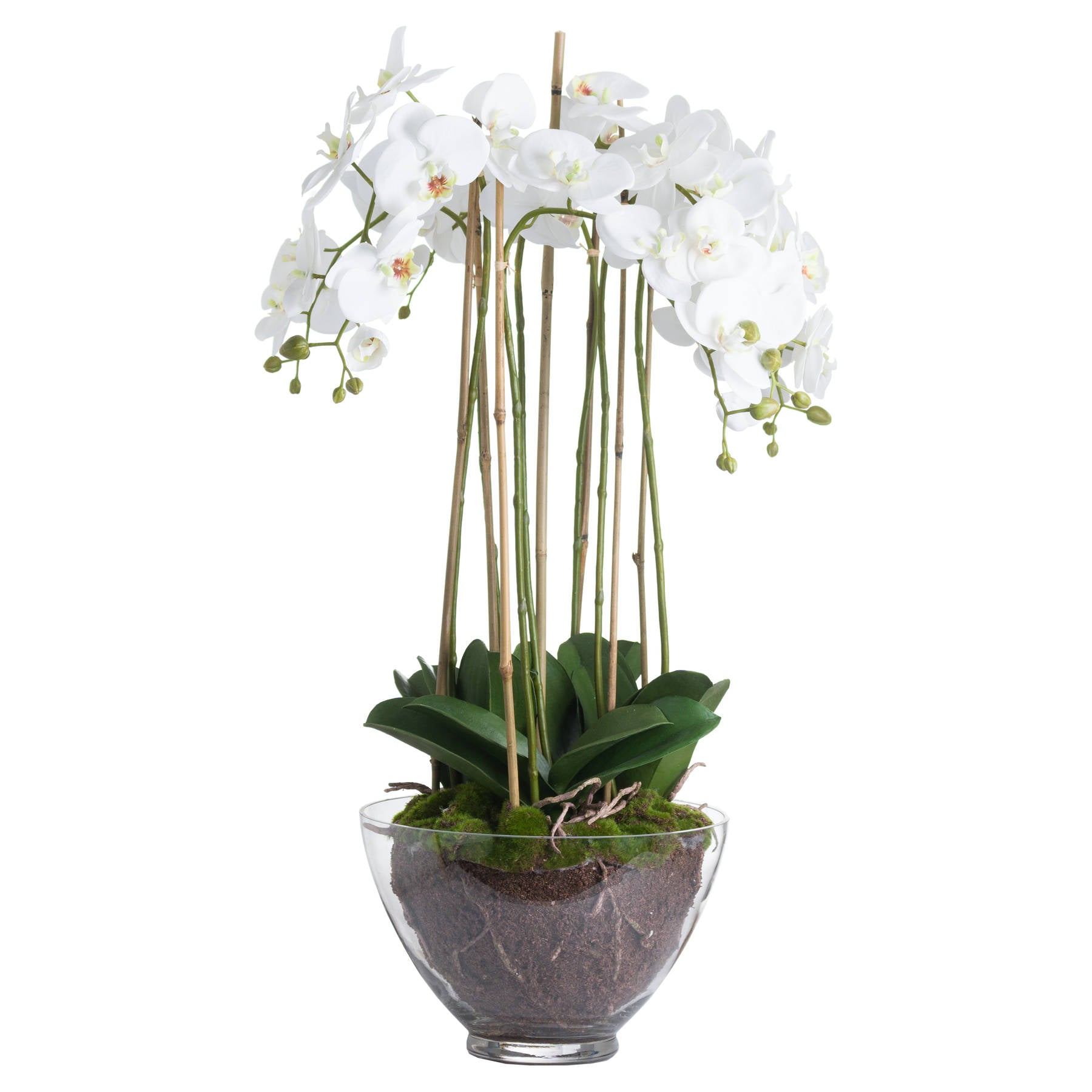 Handcrafted Luxury Large White Orchid In Glass Pot