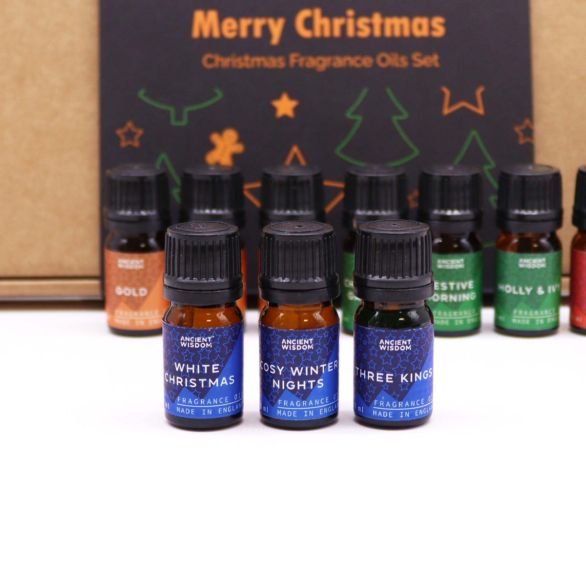 Holy Scents of Christmas Fragrance Set Of 12 Oils