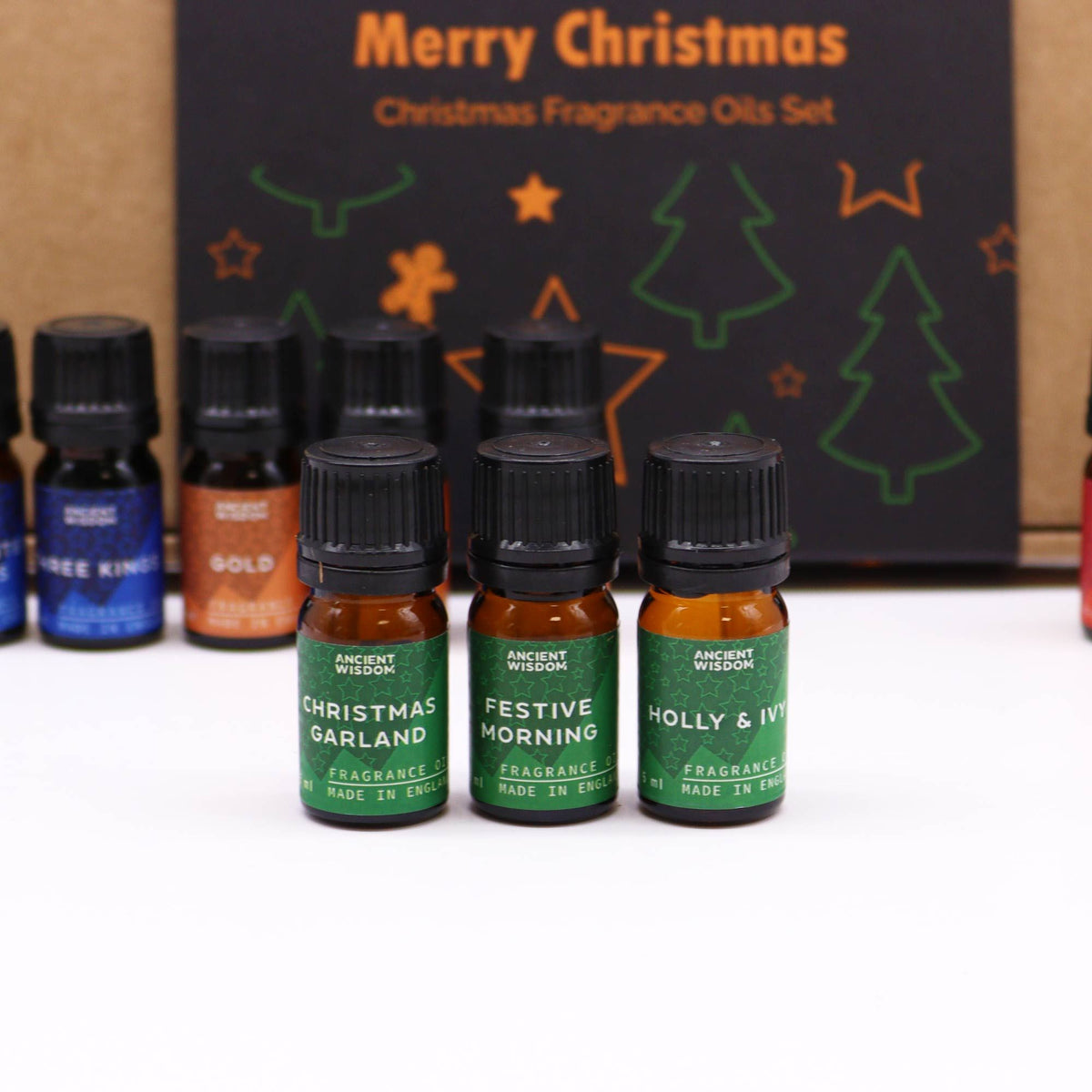 Holy Scents of Christmas Fragrance Set Of 12 Oils