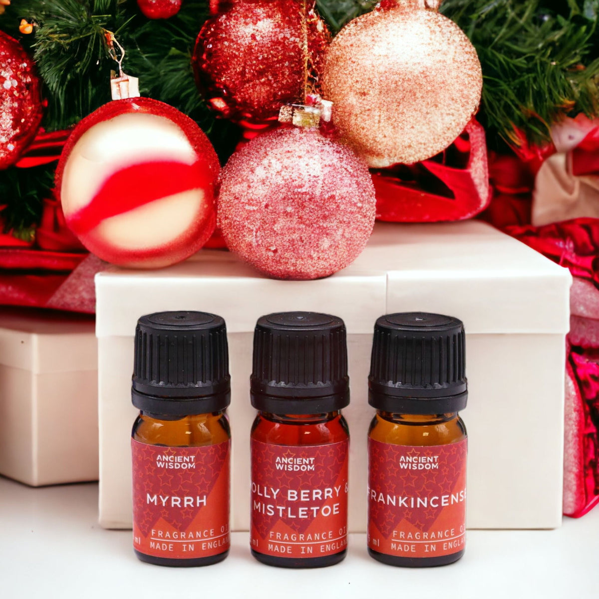 Holy Scents of Christmas Fragrance Set Of 12 Oils