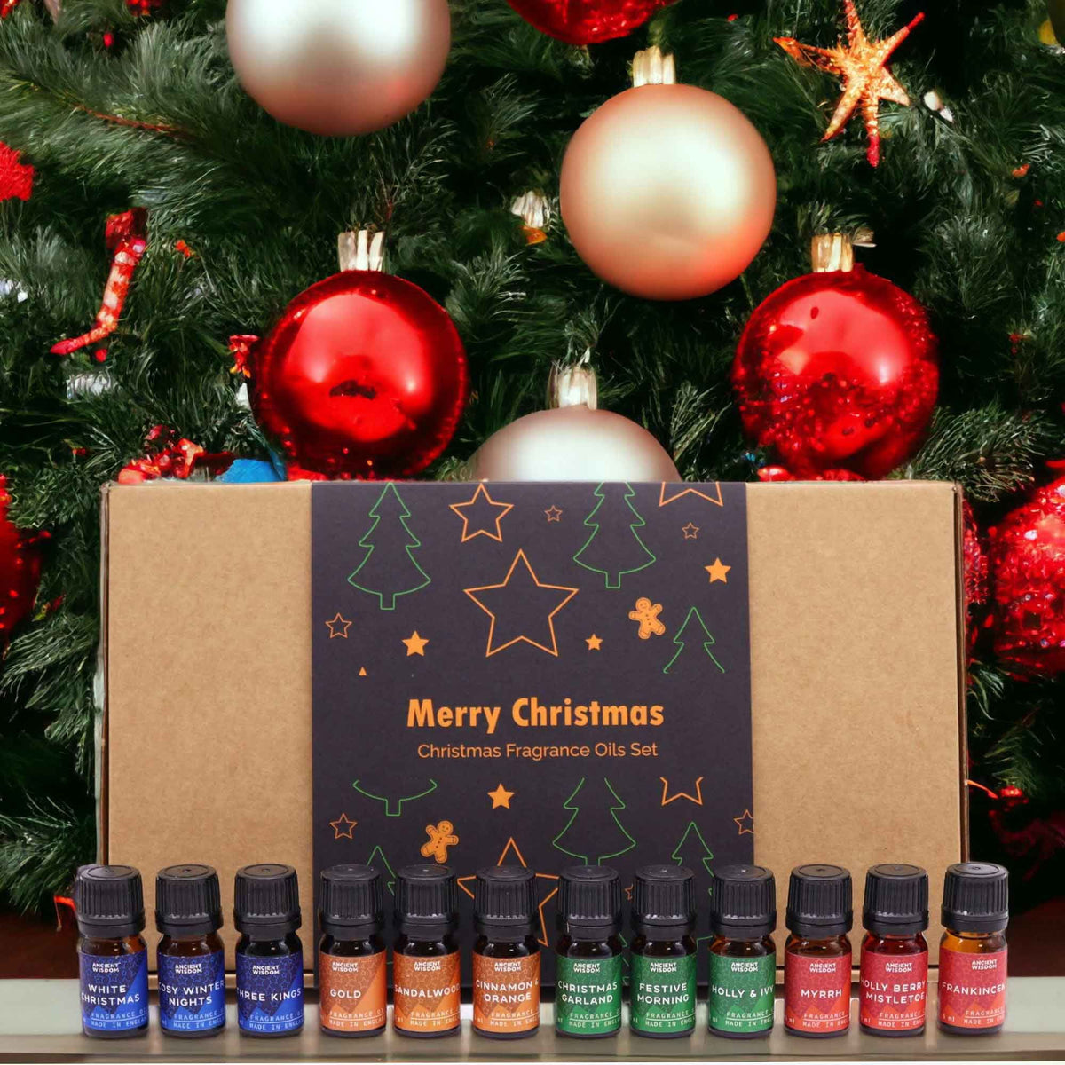 Holy Scents of Christmas Fragrance Set Of 12 Oils