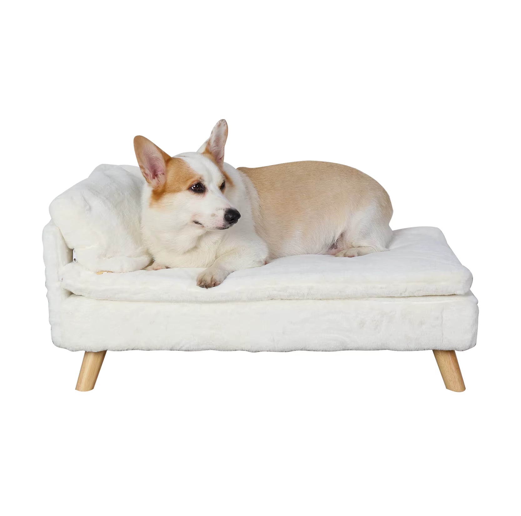 Luxury Elevated Pet Bed